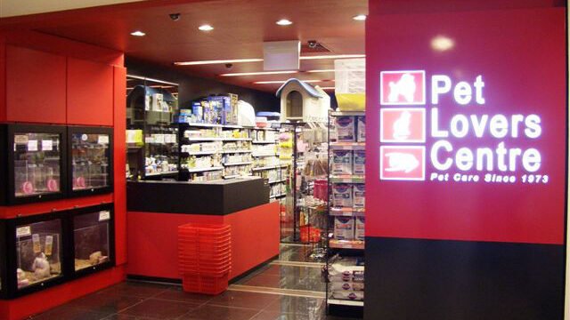 06_undefined-900.jpg