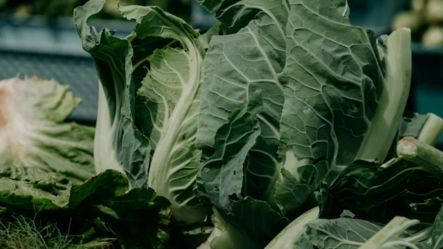 CSFreshFood.webp