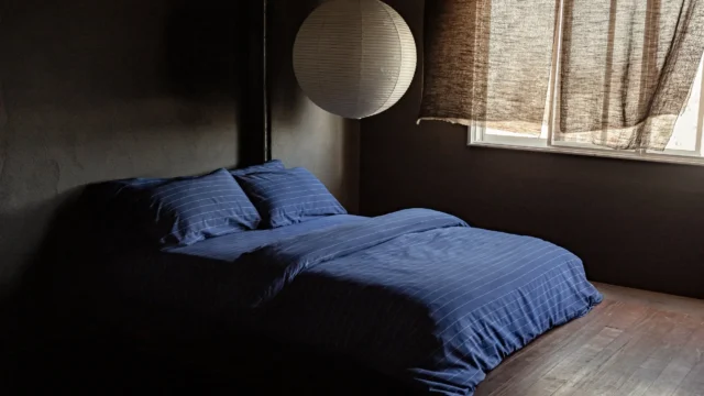 SOJAOHomeGoodsStoreOrganicCottonBedding.webp