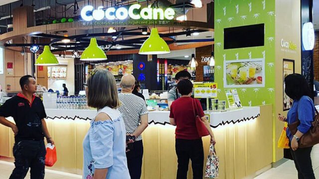 cococane-img2.jpg
